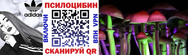 где купить   Ясногорск  Псилоцибиновые грибы мицелий 