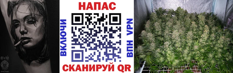 Шишки марихуана THC 21%  где найти   Ясногорск 